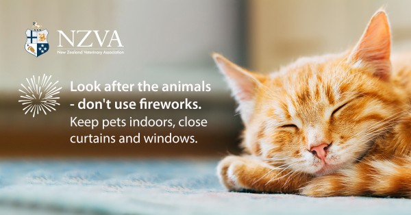 Look after the animals - don't use fireworks