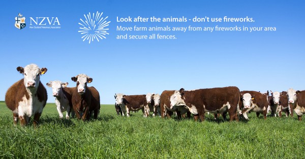Look after the animals - don't use fireworks