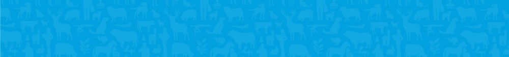 1 Banner v86f8b4e69a