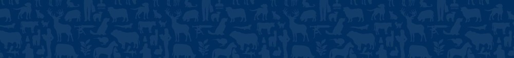 2 Banner v10