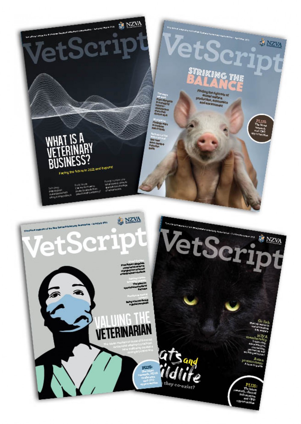 Vetscript covers