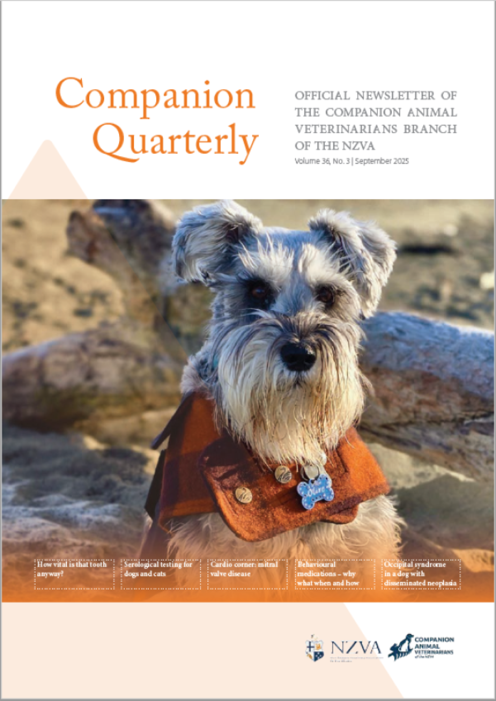 cq 36 3 cover ScaleWidthWzYwMF0
