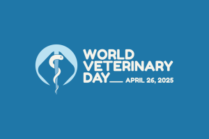 wvd logo bbg